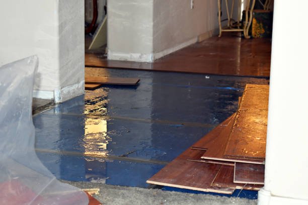Professional Burst Pipe Water Damage technician working in Solomon, KS